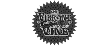 the vibrant vine the vibrant vine